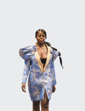 Stylish Winter Akanra Elegant Blazer